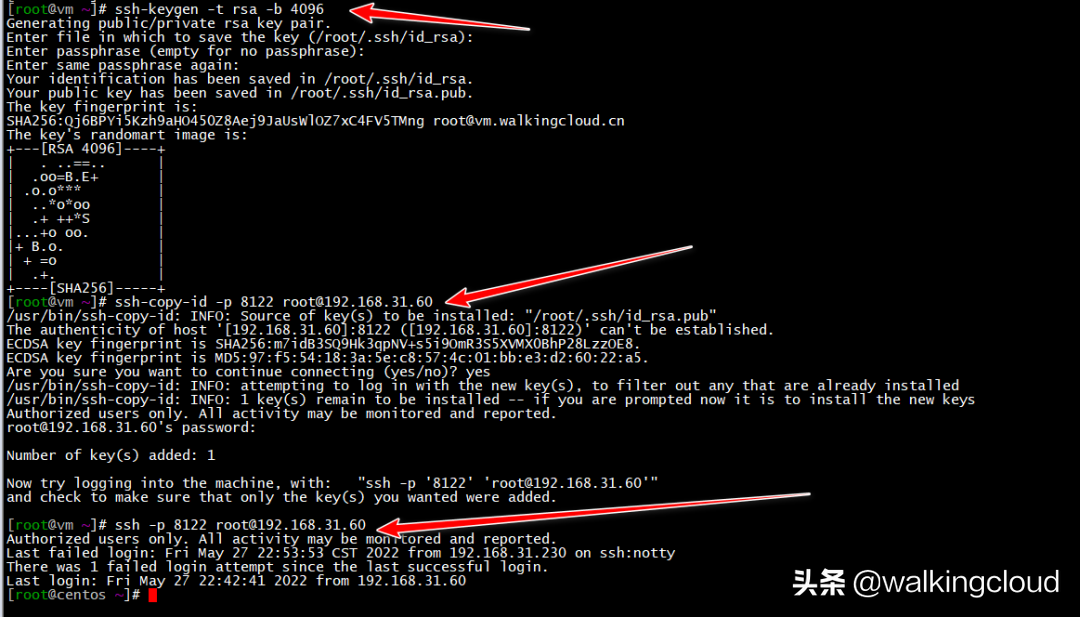 如何添加新的 MySQL 用户并授予访问权限