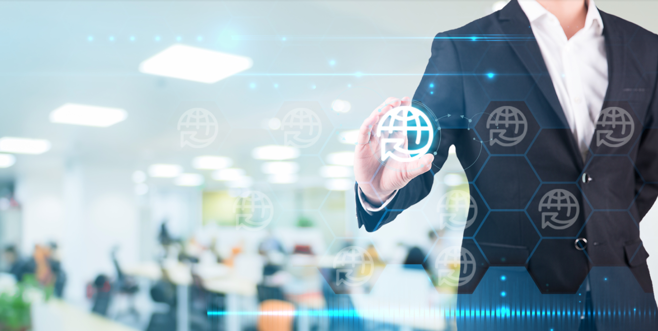 怎么查询域名信息？