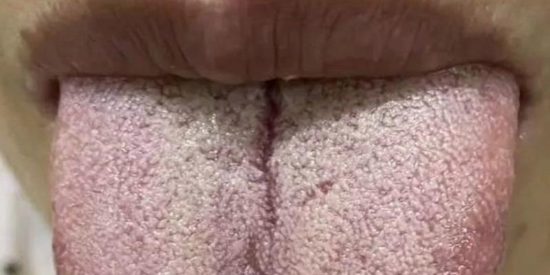 SQL Server实践性练习之子查询实例